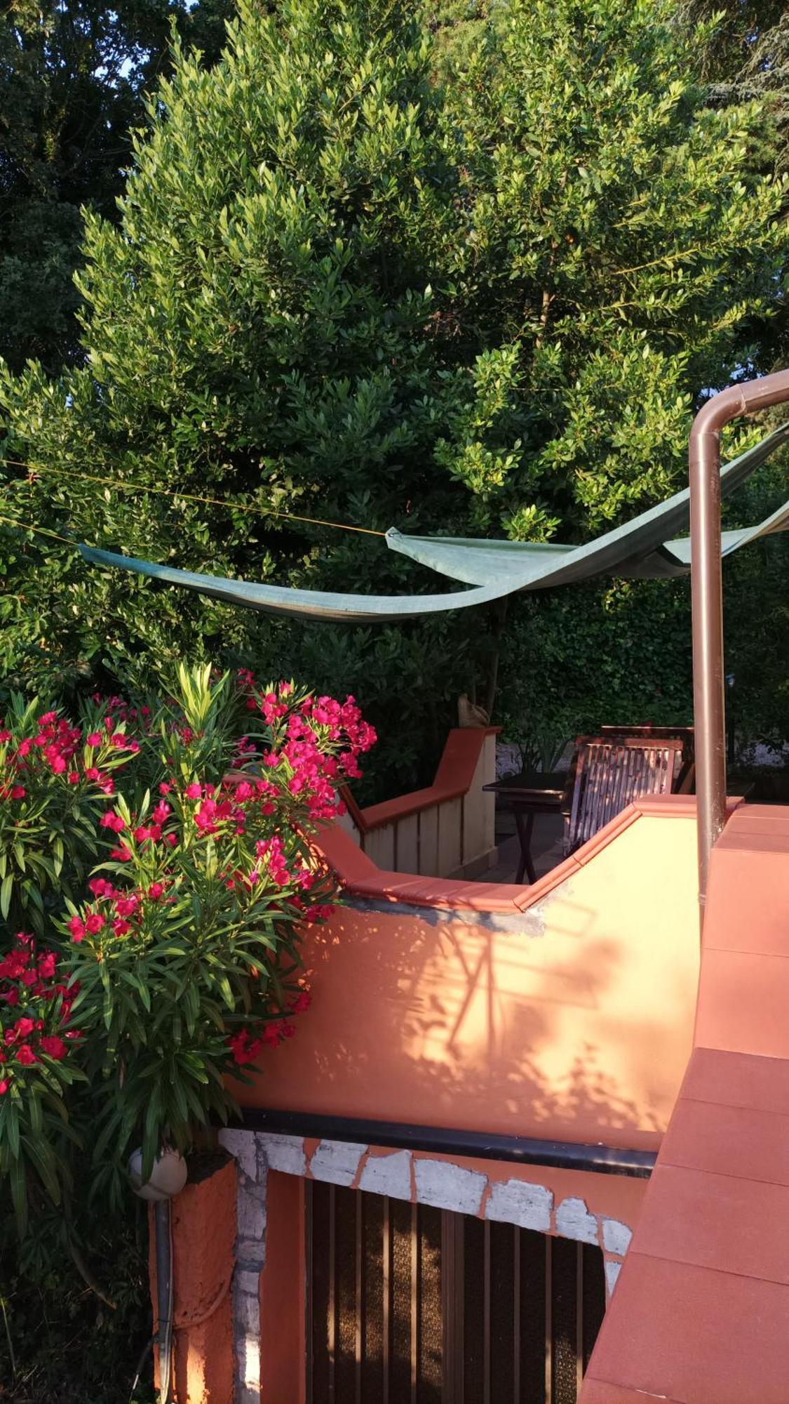 B&B Meladormo Tempio Pausania Rum bild